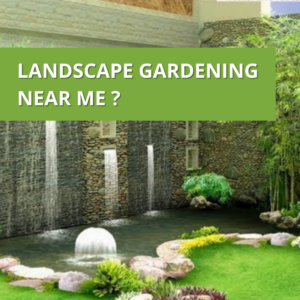 Landscape Gardening Near Me ?