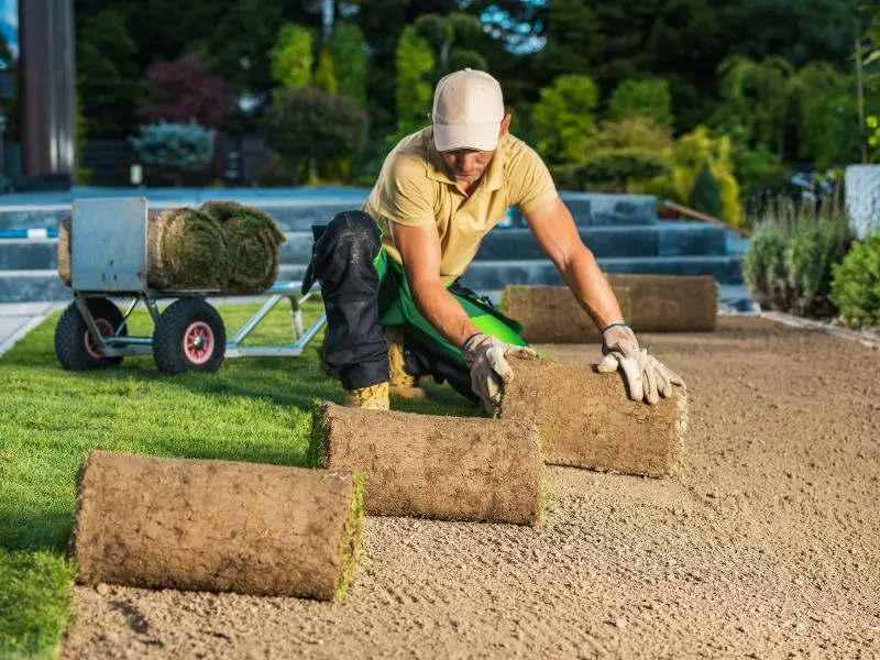 Landscaping Services India