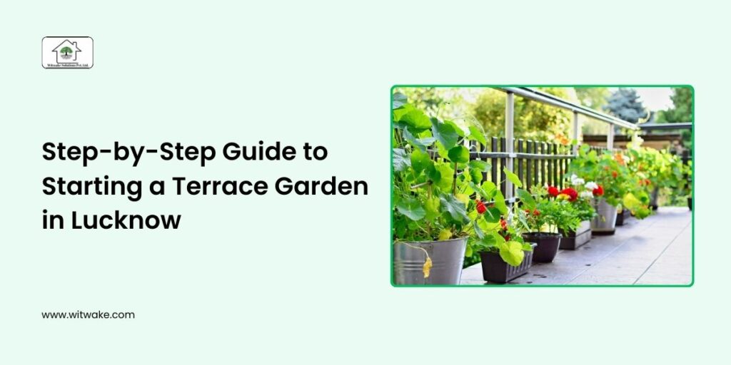 Step-by-Step Guide to Starting a Terrace Garden in Lucknow