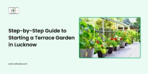 Step-by-Step Guide to Starting a Terrace Garden in Lucknow