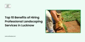 Top 10 Benefits of Hiring Professional Landscaping Services in Lucknow