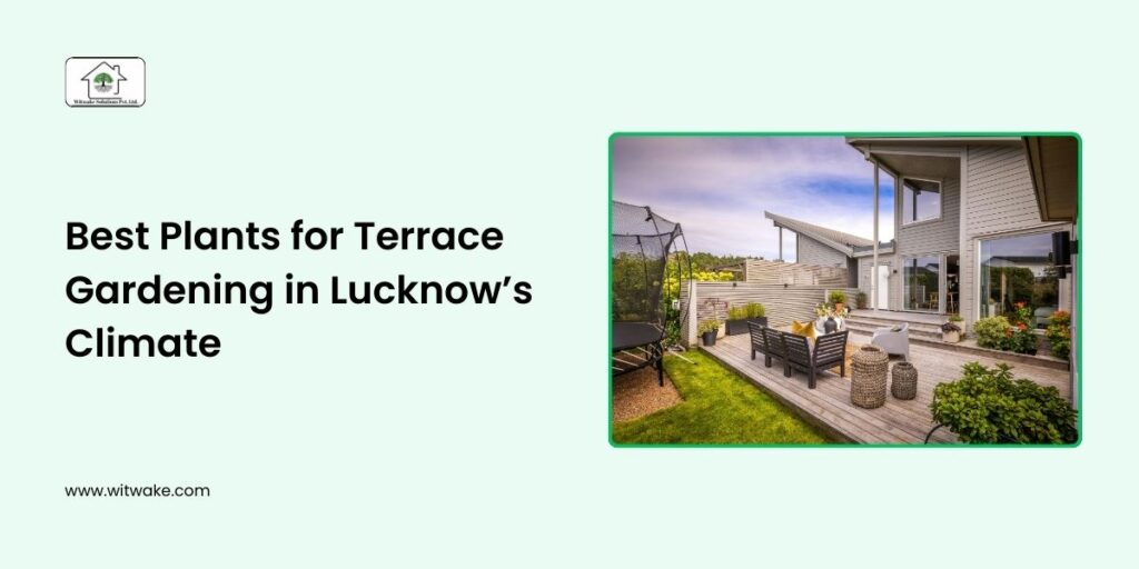 Best Plants for Terrace Gardening in Lucknow’s Climate