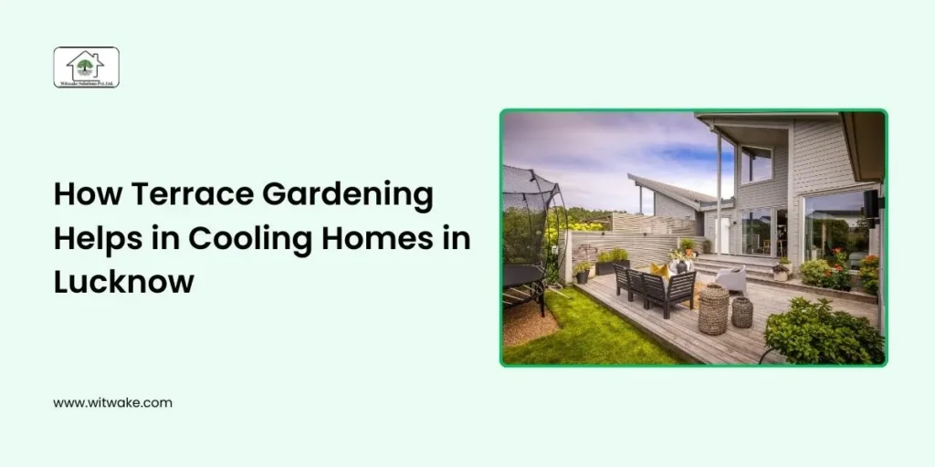 How Terrace Gardening Helps in Cooling Homes in Lucknow